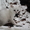 Британские  котята шиншилла-серебро от производителя из Снежного Барса - Изображение #2, Объявление #815689