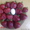 Урожайные сорта клубники -почтой Беларуси - Изображение #4, Объявление #1297513