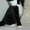 Метисы Мейн-Куна котята #31712