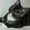 Метисы Мейн-Куна котята - Изображение #1, Объявление #31712