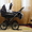Детская коляска "Caren" - Изображение #1, Объявление #28887