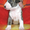 Бультерьера высокопородные щенки - Изображение #2, Объявление #41449