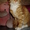 Мейн кун-ские коты-необычайной красоты - Изображение #1, Объявление #39458
