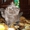 Котенок-темно-голубой(серый) персик - Изображение #4, Объявление #109939