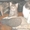 котята-дворяне с сибирскими корнями - Изображение #2, Объявление #137717