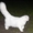 вислоухий кот для вязки - Изображение #1, Объявление #85698