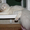 вислоухий кот для вязки - Изображение #2, Объявление #85698