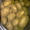 Картофель финский (из Финляндии, импортный) 27руб. за кг - Изображение #4, Объявление #186372