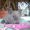 Карликовые крольчата - Изображение #5, Объявление #254583