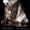Курильский Бобтейл котята - Изображение #2, Объявление #277510