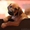 Чудесный щенок родезийского риджбека экстра класса! - Изображение #1, Объявление #251897