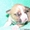 очаровательные щенки американского стаффордширского терьера - Изображение #3, Объявление #296787