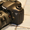 Canon EOS 1D Mark II N Digital SLR Camera (Body Only) :: $2800usd #326416