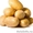 Продажа картофеля из Беларуси !!!! #401996