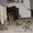 Саванна, Сервал, 2 оцелот, Маргей,котята на продажу - Изображение #2, Объявление #417428