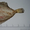 Рыба вяленая,холодного копчения,снековая продукция ОПТ - Изображение #2, Объявление #414425