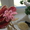 Роза,бонсаи из бисера - Изображение #3, Объявление #435432
