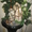 фонтан декоративный напольный - Изображение #2, Объявление #473194