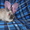 Чистопородные карликовые кролики #490447