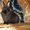 Чистопородные карликовые кролики - Изображение #2, Объявление #490447