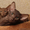 Питомник современных ориентальных кошек - Изображение #2, Объявление #535666