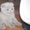 Лиловые котята-шотландцы - Изображение #3, Объявление #576430