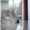 Чистокровные британские котята шоу- класса - Изображение #7, Объявление #596772