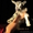Зааненские козлята - Изображение #1, Объявление #575533