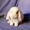 Питомник ЛАРСиК. Карликовые кролики. - Изображение #9, Объявление #630104