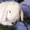 Карликовые кролики.Питомник ЛАРСиК. - Изображение #6, Объявление #274150