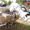 Катер Беркут 460 консольный, доставка по России, - Изображение #4, Объявление #630734