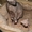 голо рождённые котята донского сфинкса - Изображение #3, Объявление #657497