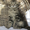 Котята мейн-кун к резервированию и продаже - Изображение #3, Объявление #685109