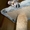 Сфинкс Левкой, котята - Изображение #2, Объявление #695526