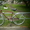 Новый женский велосипед,круизер - Изображение #2, Объявление #715979