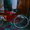 Новый женский велосипед,круизер - Изображение #6, Объявление #715979