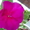 Бальзамины многолетние цветущие - Изображение #4, Объявление #715817