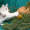 Чудо котятки курбобики - Изображение #3, Объявление #793496