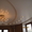 Ремонт вашего потолка со Скидкой-20% - Изображение #1, Объявление #891651
