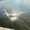 дачу на берегу озера в РБ Витебской обл Россонского района - Изображение #1, Объявление #923914