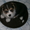  Очаровательные щенки вельш корги пемброк - Изображение #2, Объявление #977752