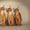 Кошечки абиссинские - Изображение #2, Объявление #993664