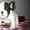  красивые щенки французского бульдога - Изображение #3, Объявление #1036013