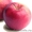 Яблоки оптом из Польши #1058630