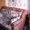 Аренда комнаты для 1 человека в Купчино - Изображение #7, Объявление #1065643