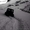 Турбо-дизельный вездеход снегоболотоход Mudd-Ox XL  #1117400