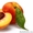 купим персик , нектарин крупным оптом #1131028