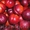 купим персик ,нектарин крупным оптом - Изображение #2, Объявление #1131028