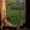 Земельный участок в Старорусском районе Новгородской области - Изображение #6, Объявление #1179328