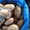 Прямые поставки картофеля , лука  из Египта - Изображение #3, Объявление #1202590